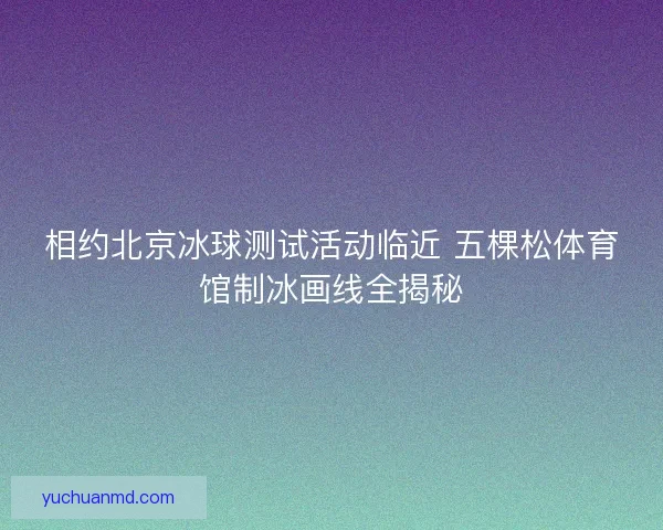 相约北京冰球测试活动临近 五棵松体育馆制冰画线全揭秘